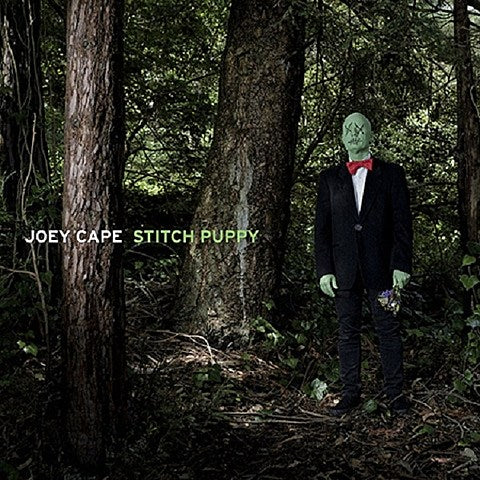 Joey Cape releasing new solo album ‘Stitch Puppy,’ touring, added to The Fest (dates & full album stream)