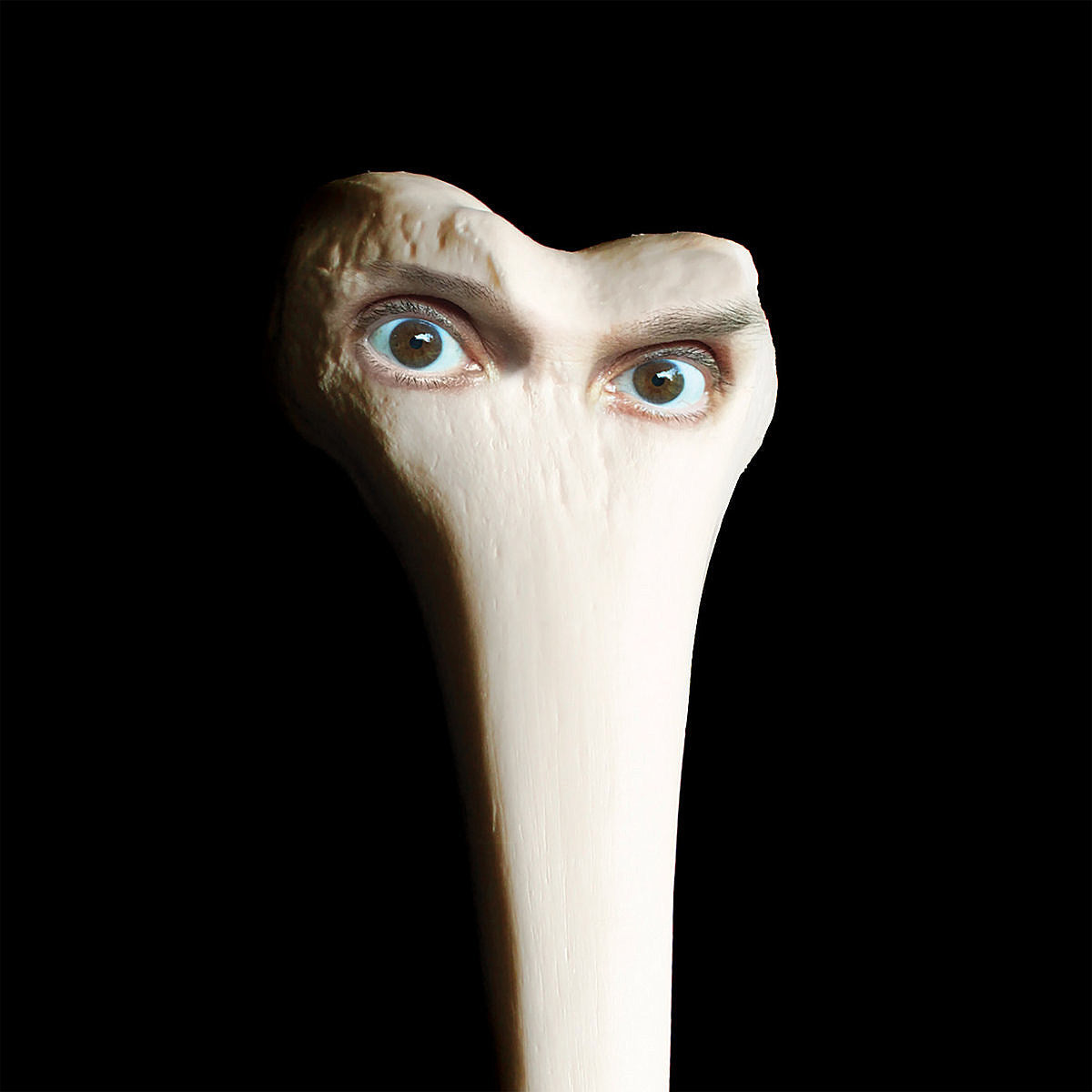 Juana Molina touring behind ‘Halo’ (dates, LP stream)