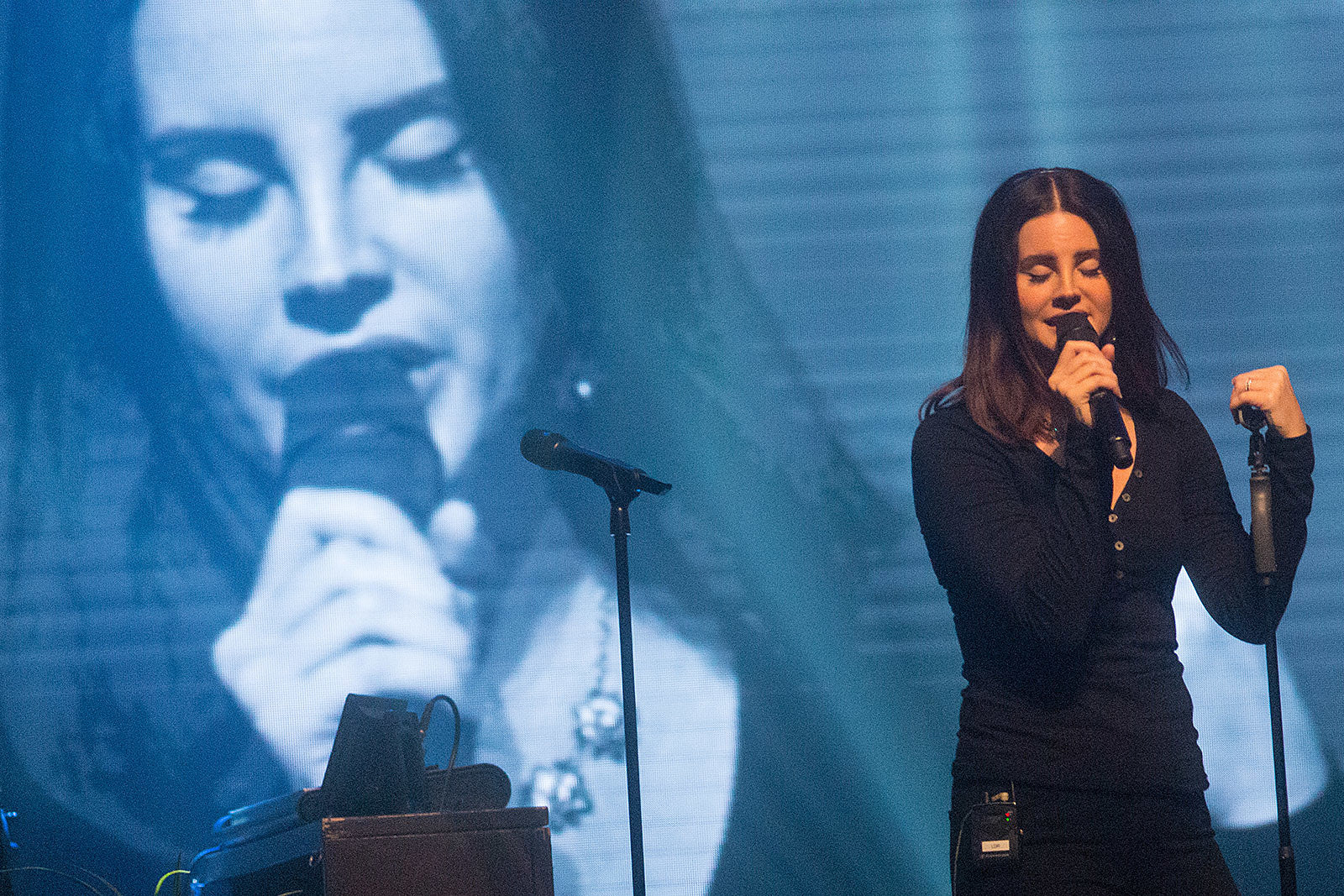 Lana Del Rey stalking suspect arrested in Orlando
