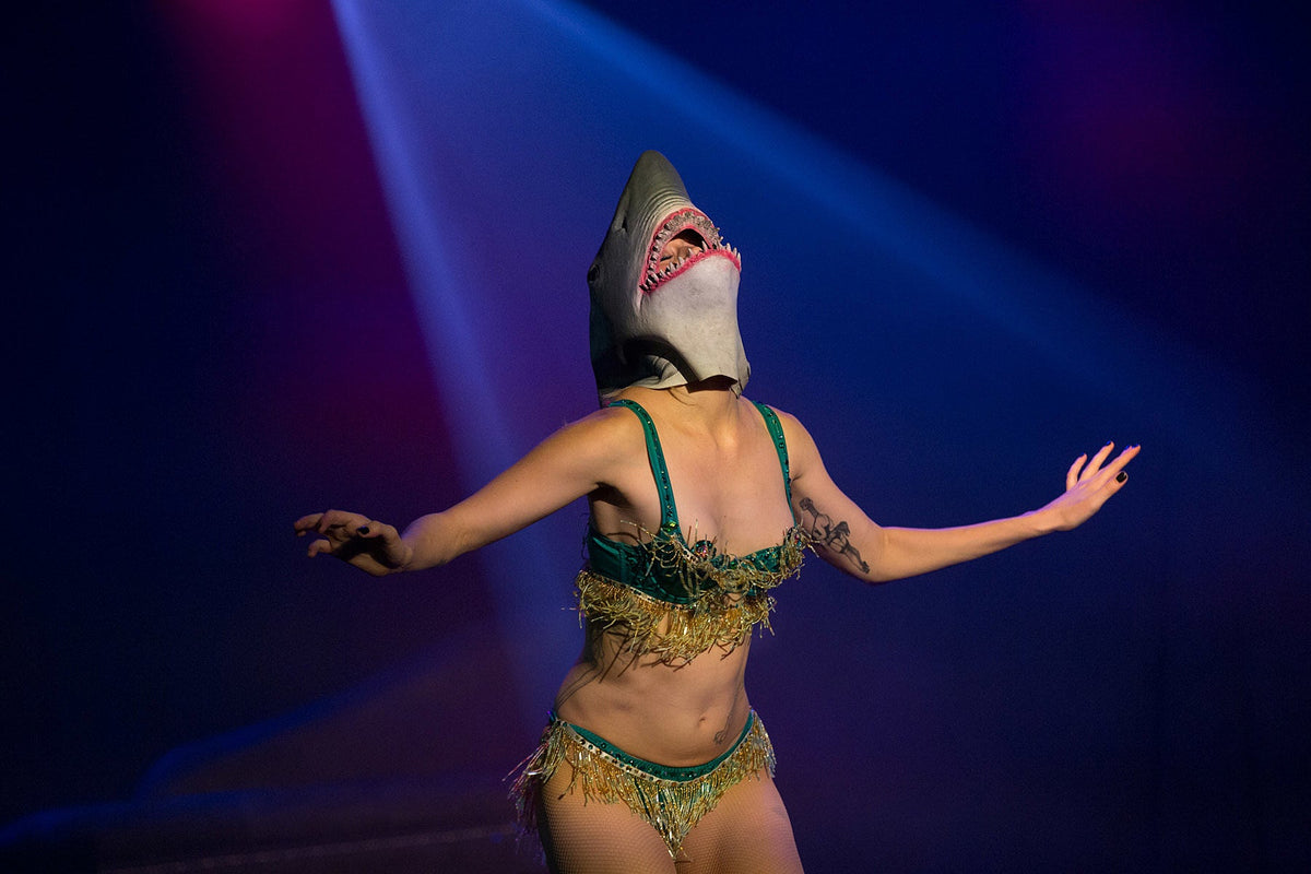 pics: Lez Zeppelin burlesque at LPR!