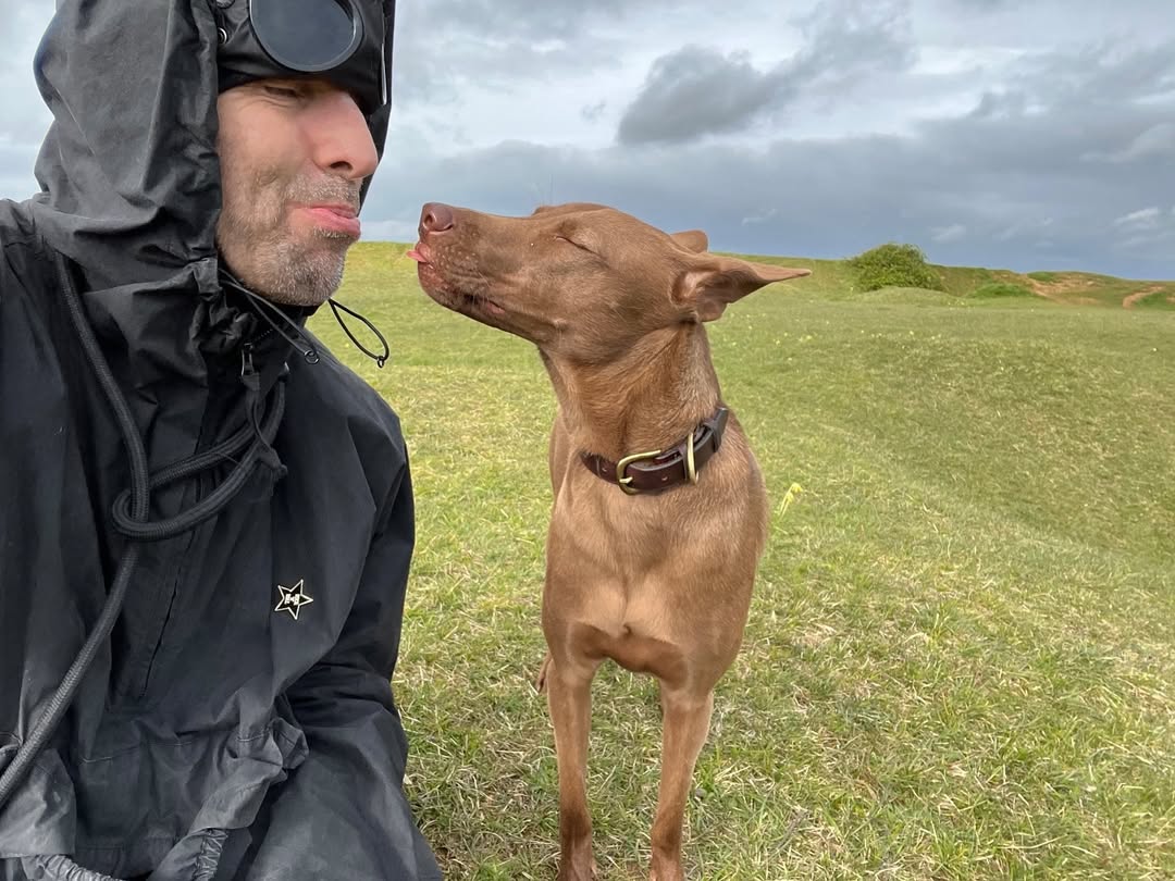 Liam Gallagher wins PETA Award for raising awareness for rescue dog adoption