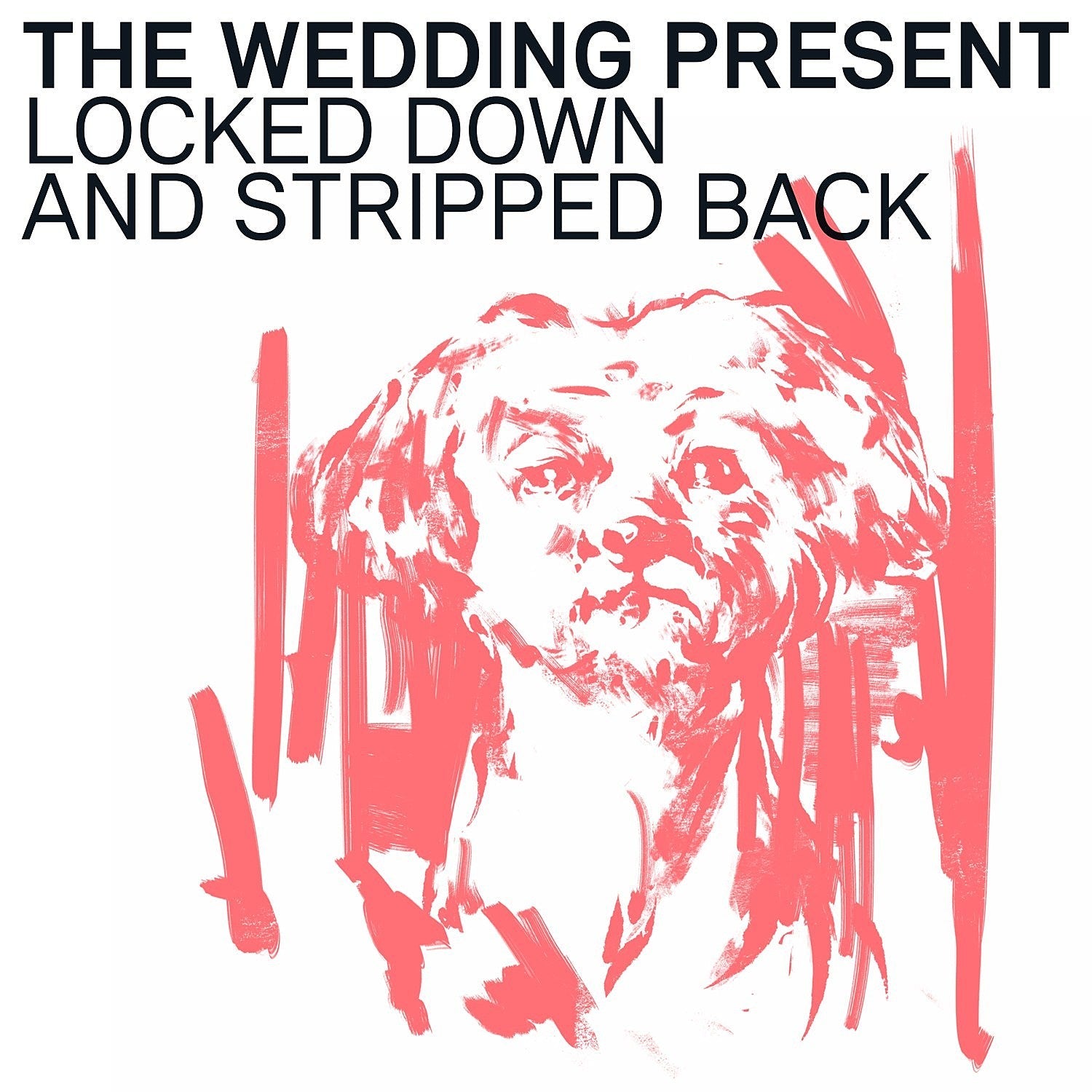 Listen to The Wedding Present’s acoustic album ‘Locked Down & Stripped Back’