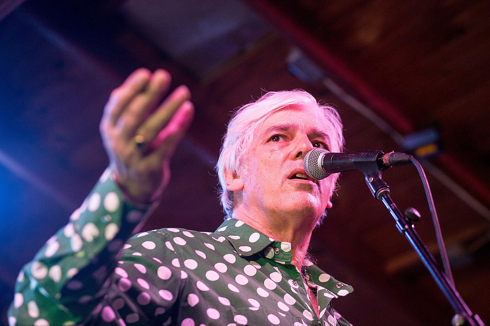 Robyn Hitchcock announces 2018 tour dates
