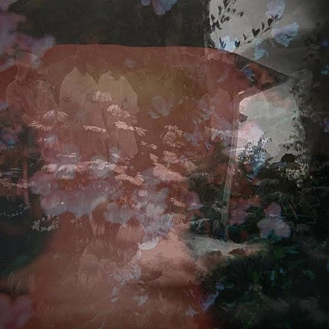 stream Lume’s new song “Violent Light,” see them live soon