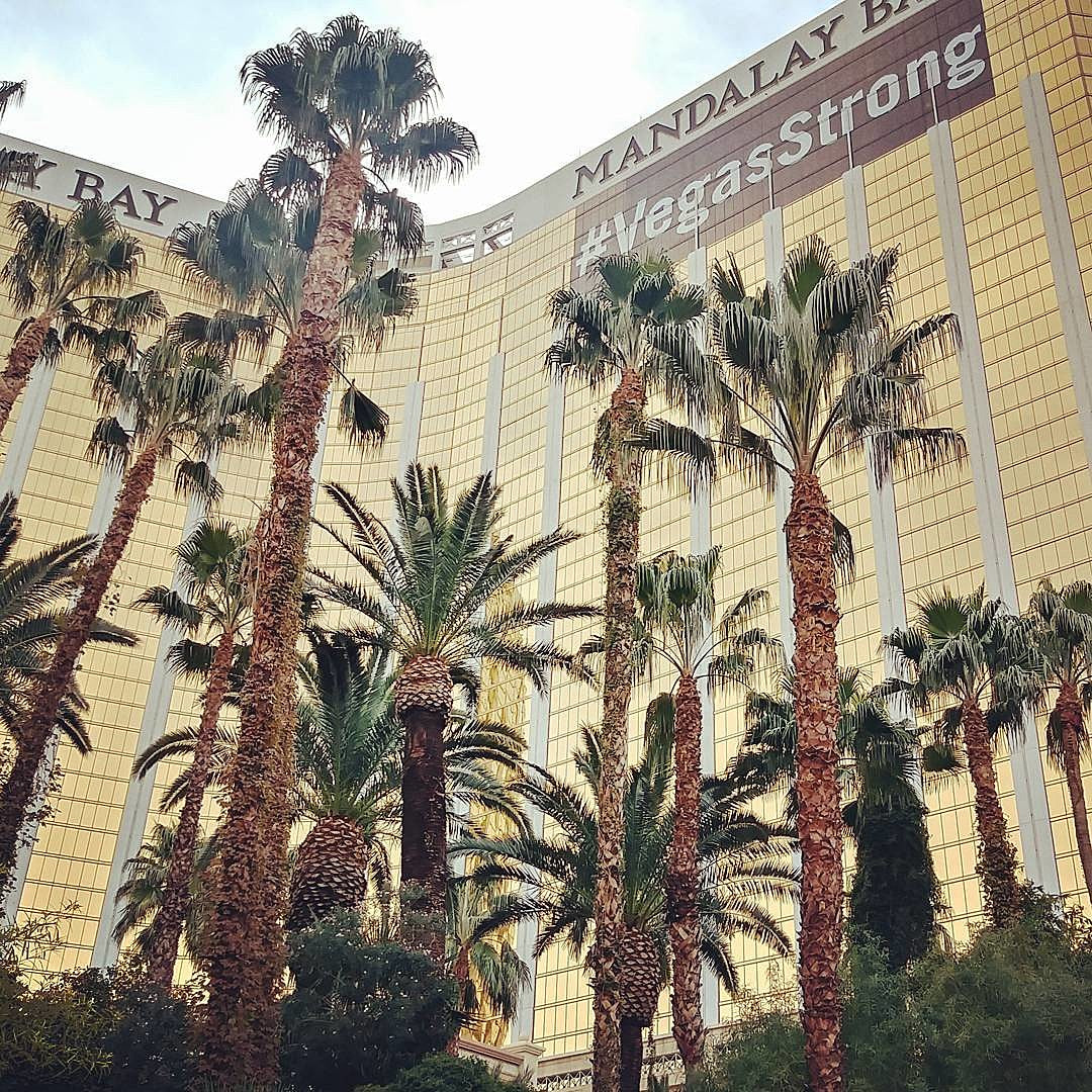hundreds of victims of Vegas shooting suing Live Nation & MGM Resorts
