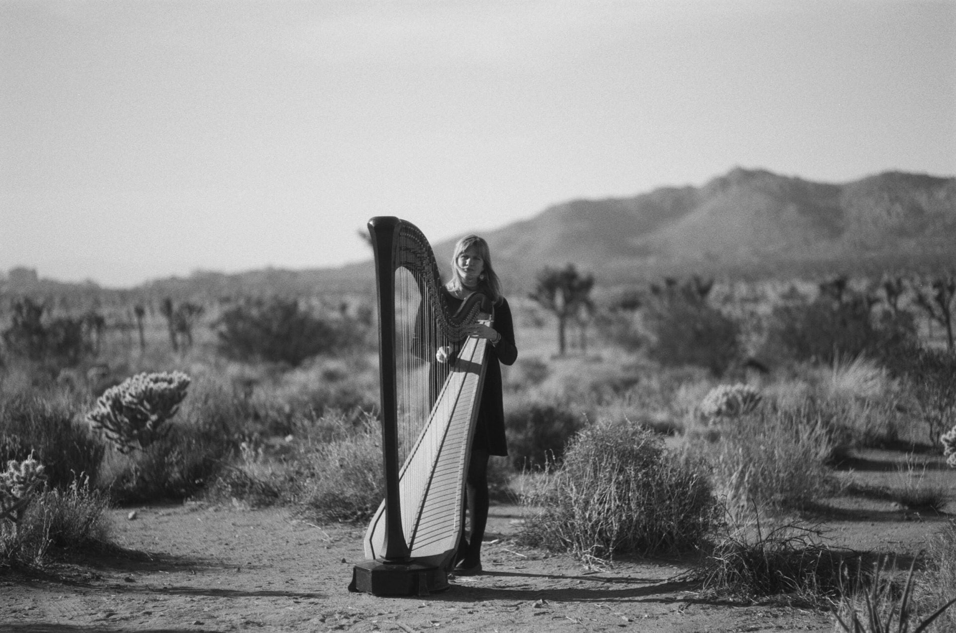 Mary Lattimore preps new LP, shares 1st single, touring w/ Iceage ++ other dates