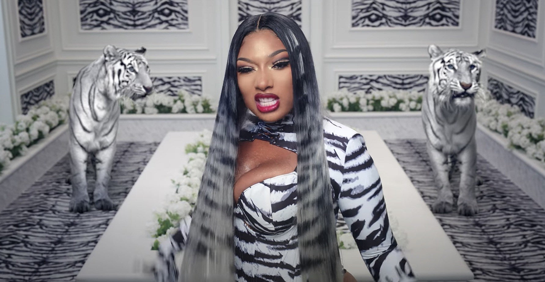 Megan Thee Stallion says Tory Lanez shot her; Lanez could face charges