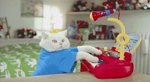 Run the Jewels make perhaps the ultimate internet cat supercut with “All Meow Life” video