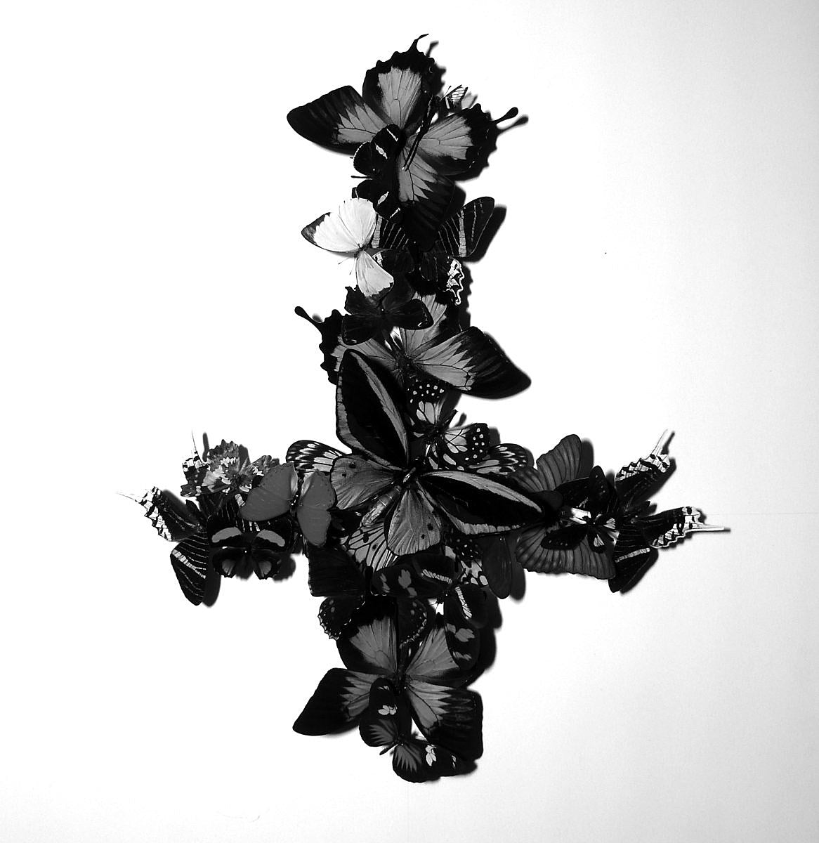 Krallice release new album; Monarch and Dark Castle playing shows