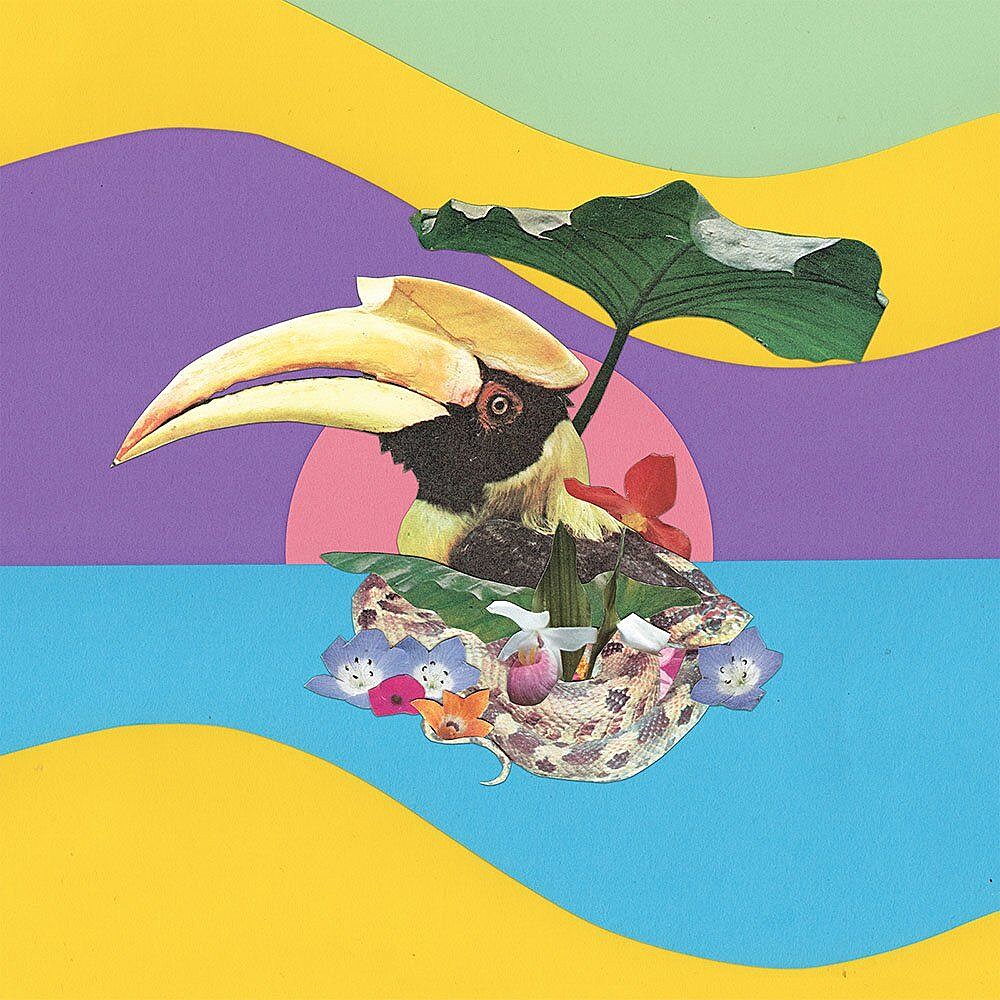 Monster Rally explore ‘The Flowering Jungle’ on new LP (listen to “Toucans”)