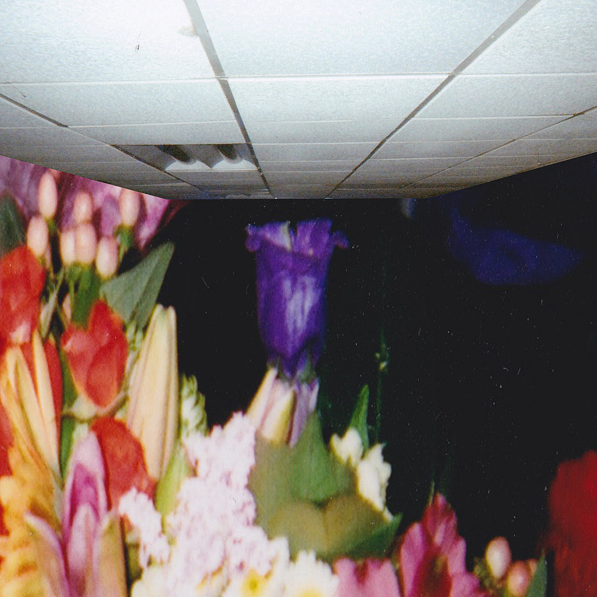 21 New Songs Out Today