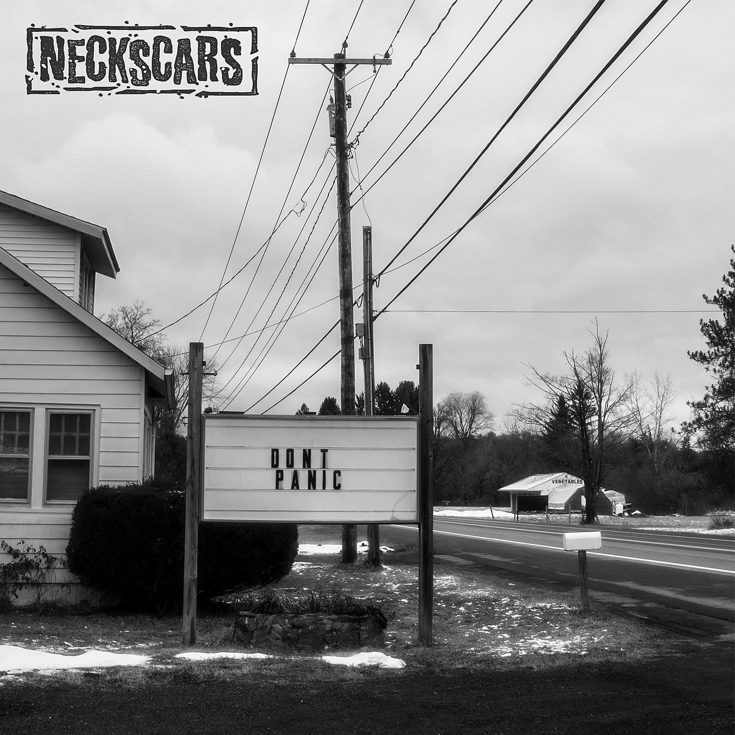 NY punks Neckscars prep debut LP ‘Don’t Panic’ (watch the “Jarring” video)