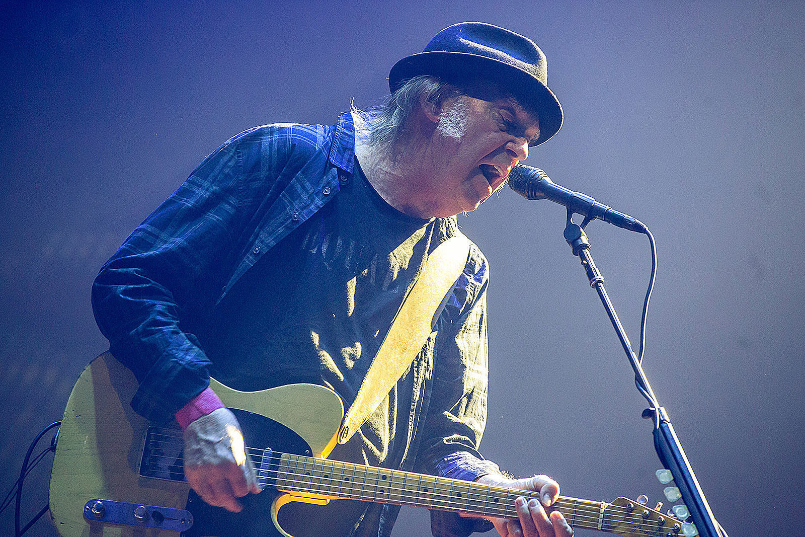 Neil Young calls concerts “super-spreader events, irresponsible Freedom Fests” in new op-ed