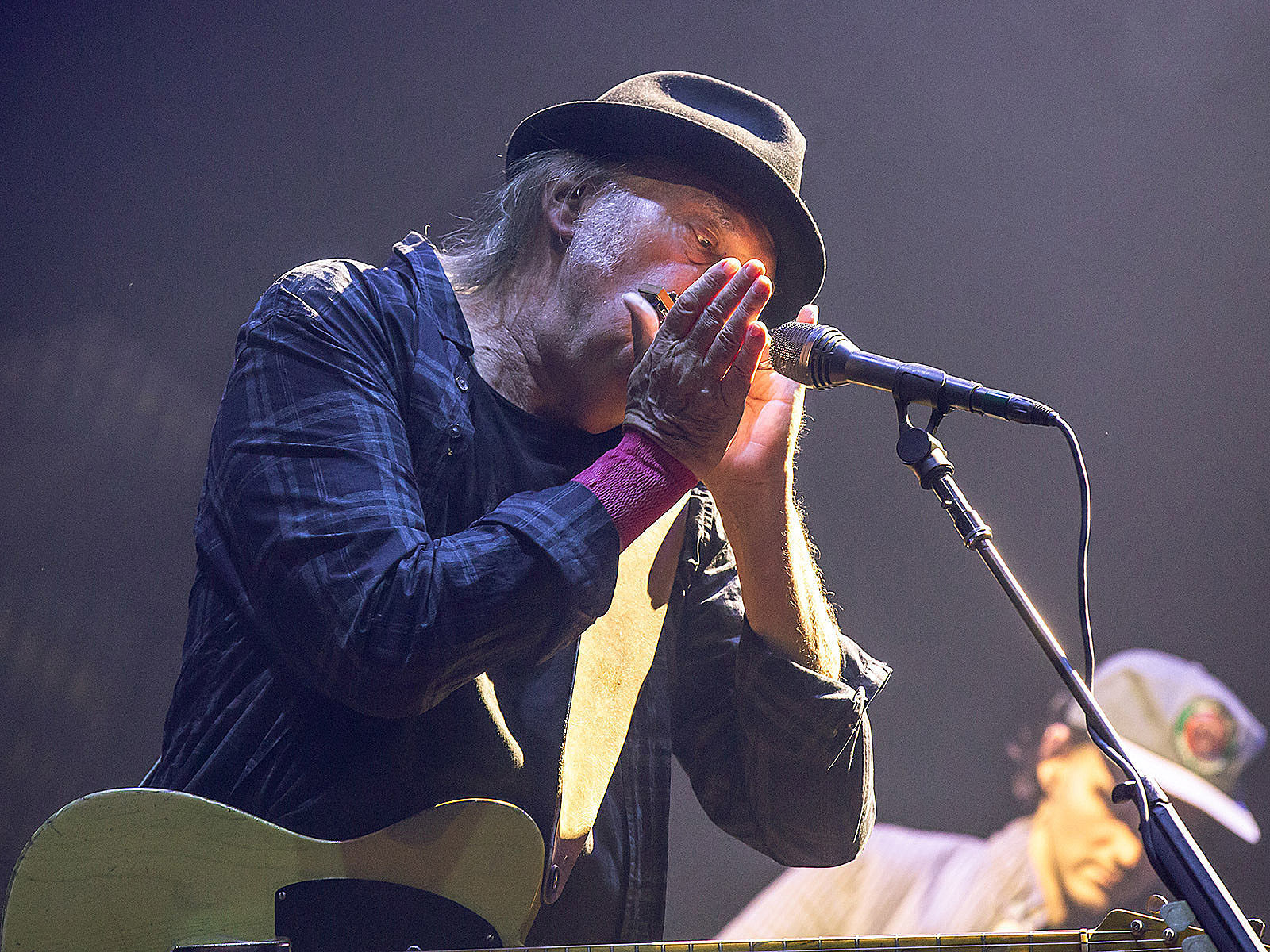 Neil Young making new album w/ Crazy Horse but no tour plans just yet