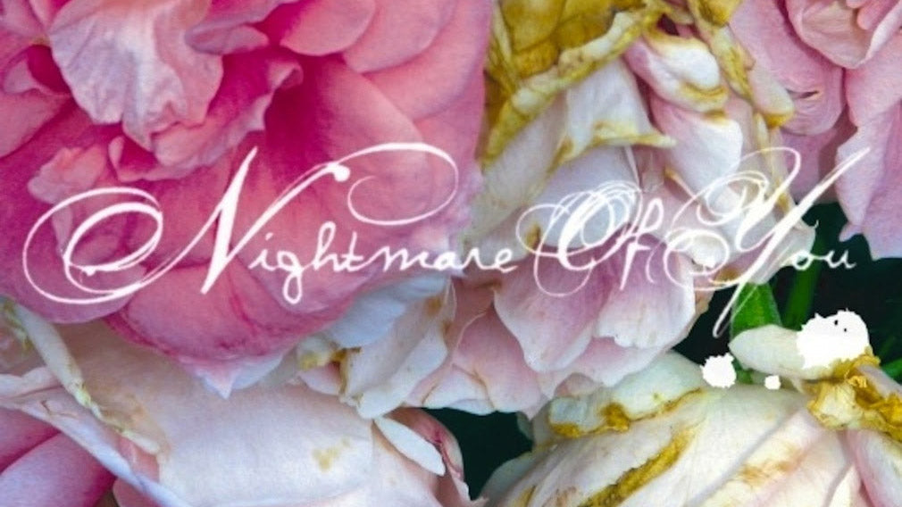 Nightmare of You announce 20th anniversary reissue of debut LP & shows (exclusive vinyl)