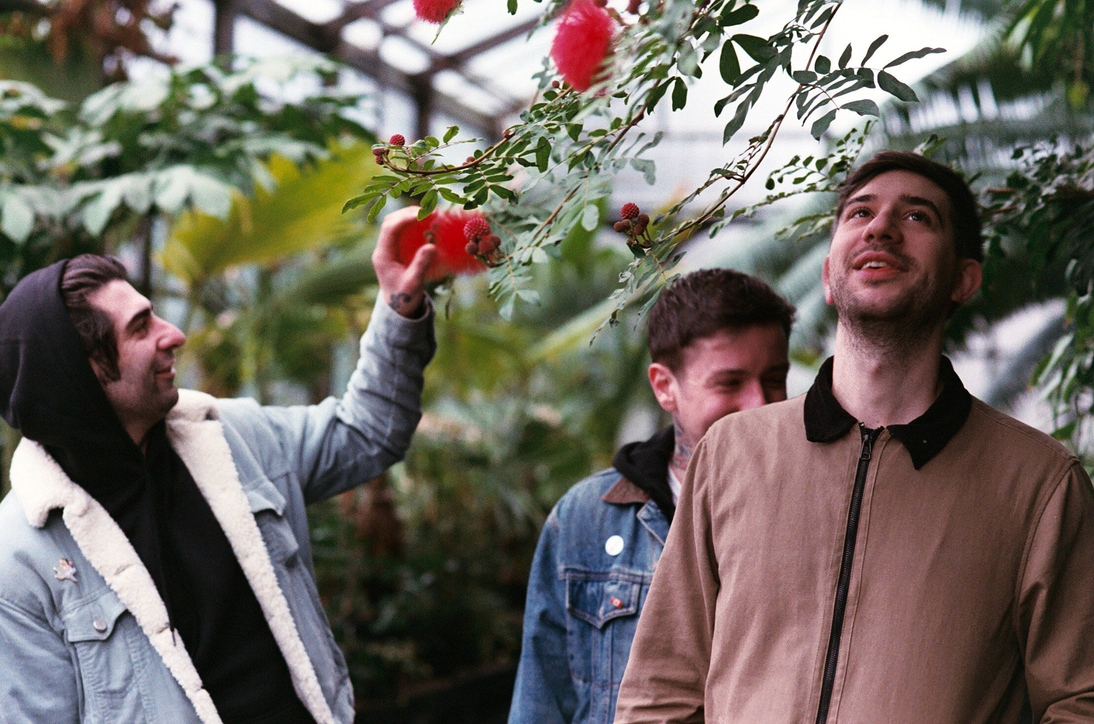 PAWS releasing new album, touring (watch the “Not Enough” video)
