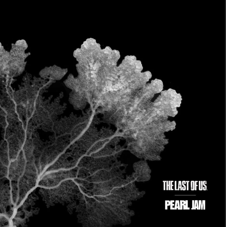 Pearl Jam announce ‘The Last of Us’ EP ft songs used in HBO series
