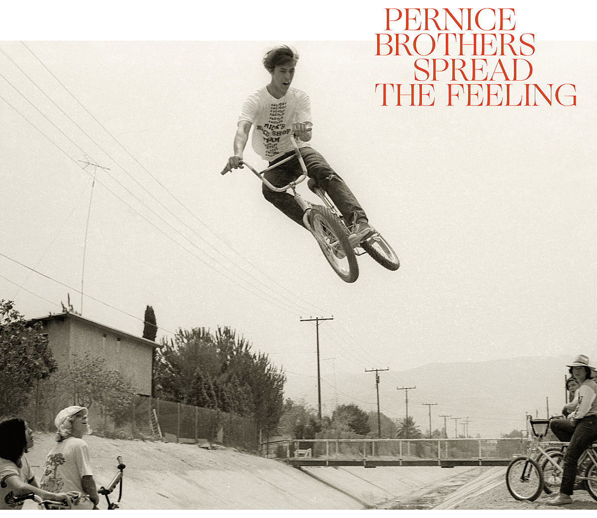 listen to Pernice Brothers’ first album in nine years (ft. Neko Case & more)