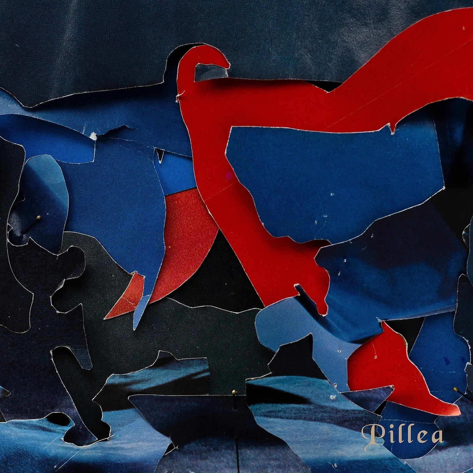 Pillea preps debut LP ‘Swell’ for Sun Eater Records (stream “Great Success”)