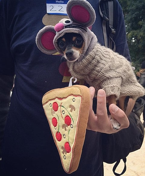 2015 Village Halloween Parade, World Inferno Friendship Society, cover shows & more NYC Halloween options
