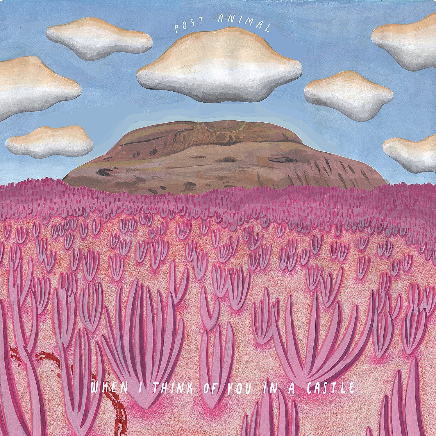 Post Animal announce new LP, share “Ralphie” ft Joe Keery of ‘Stranger Things,’ touring