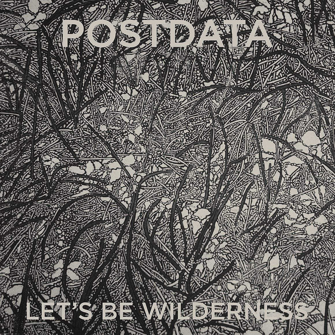 Postdata (Wintersleep, Frightened Rabbit, Blonde Redhead) — new LP & video