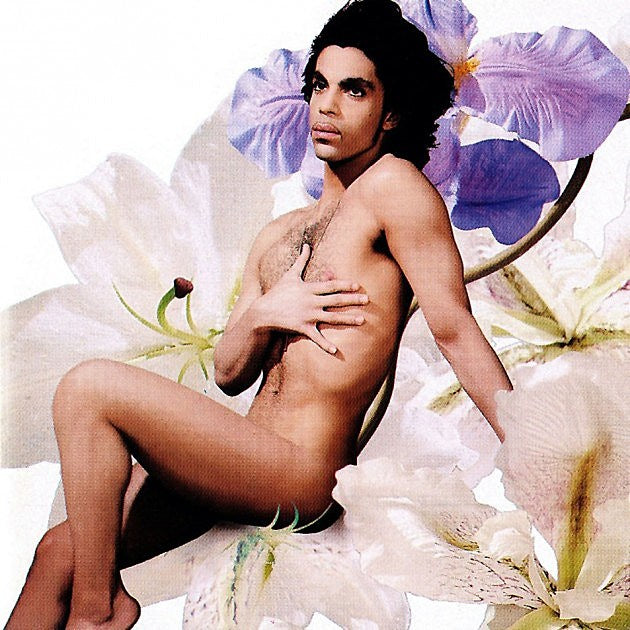 Nile Rodgers, Brian Wilson, Spike Lee, Bob Mould, Madonna & more artists pay tribute to Prince