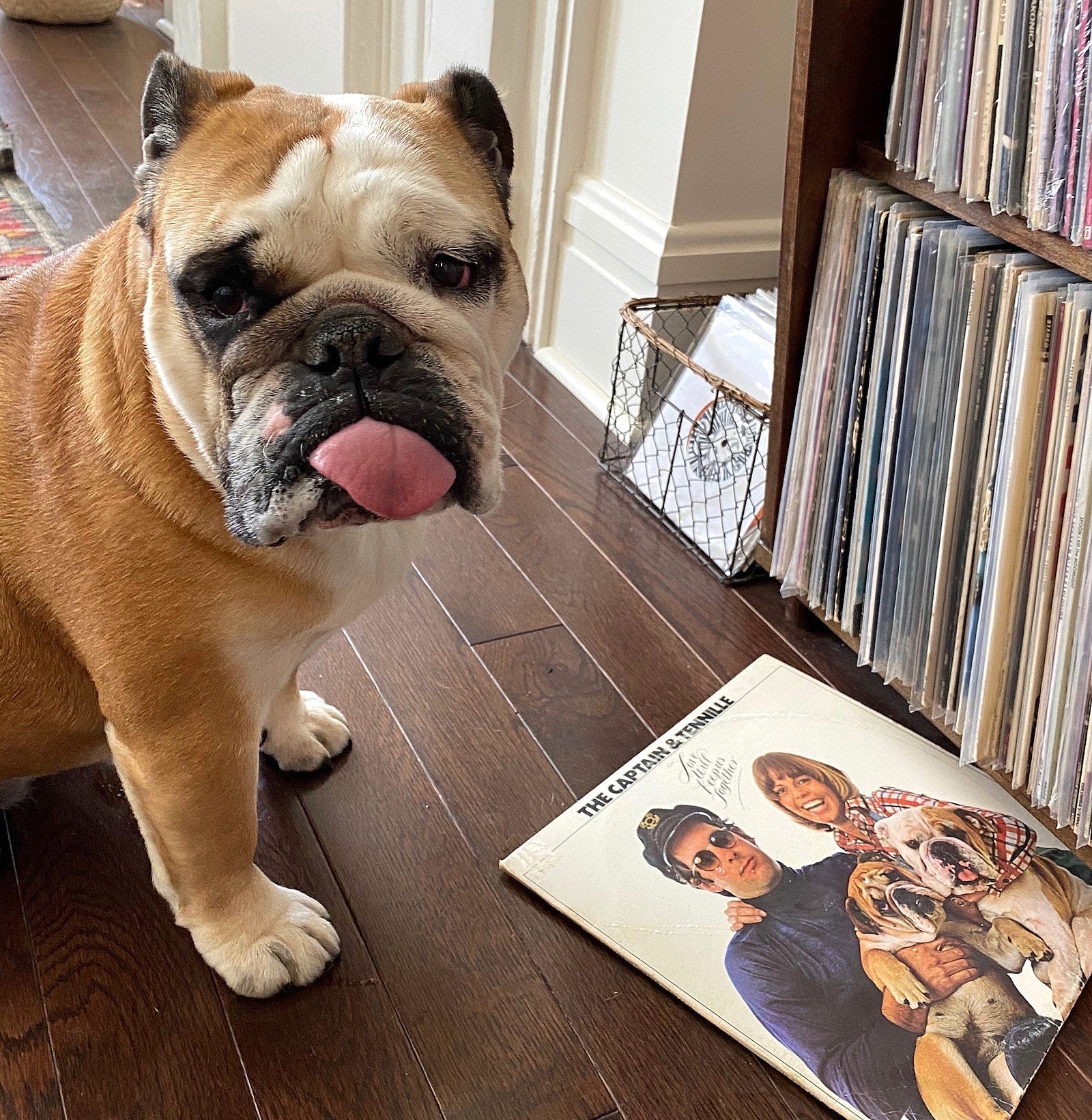 Quarantine playlists: what the BrooklynVegan staff is listening to in isolation this week