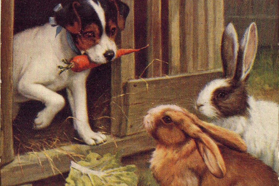 Quarantine playlists: what the BrooklynVegan staff is listening to in isolation this week