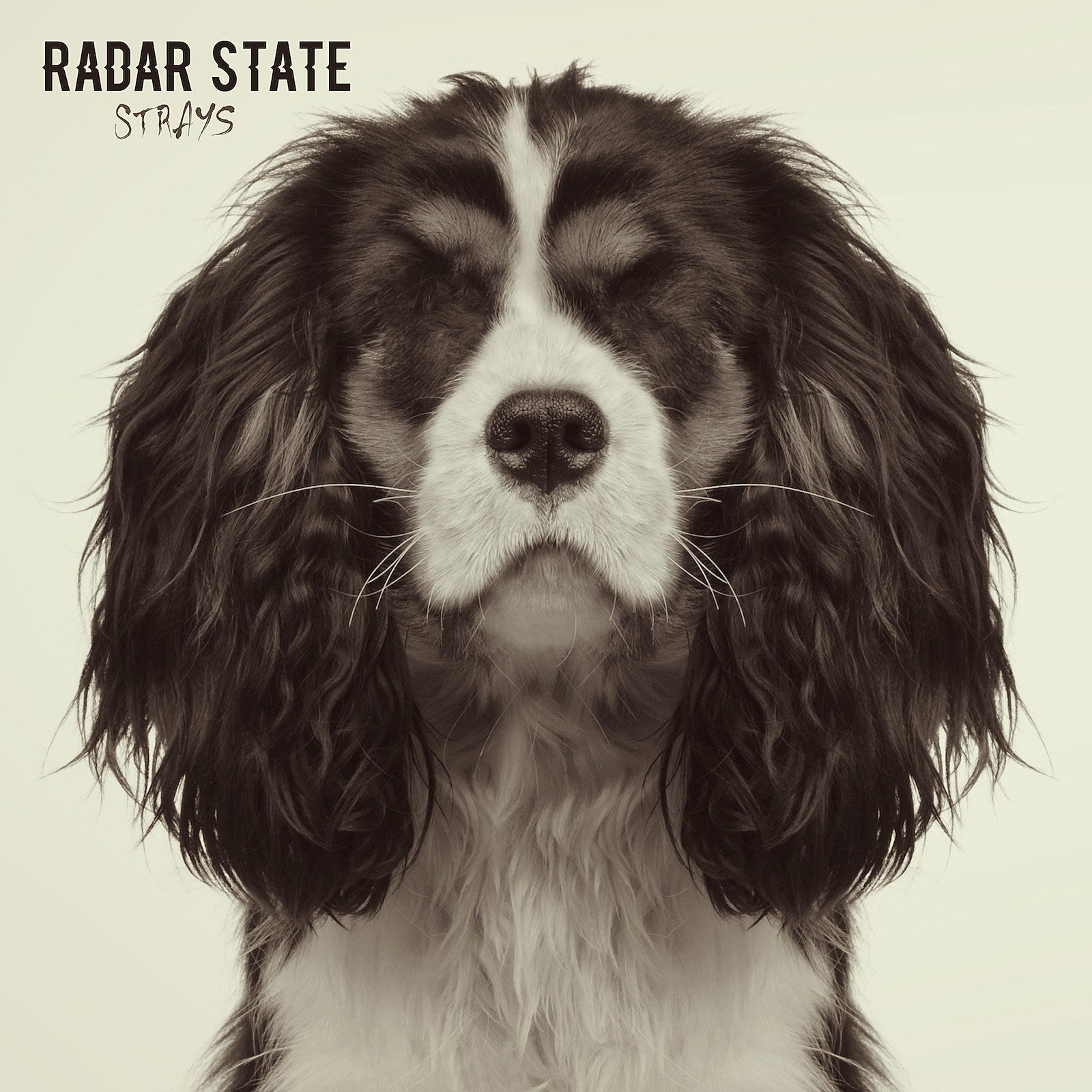 Radar State (Get Up Kids, Anniversary) prep debut album ‘Strays,’ going on tour