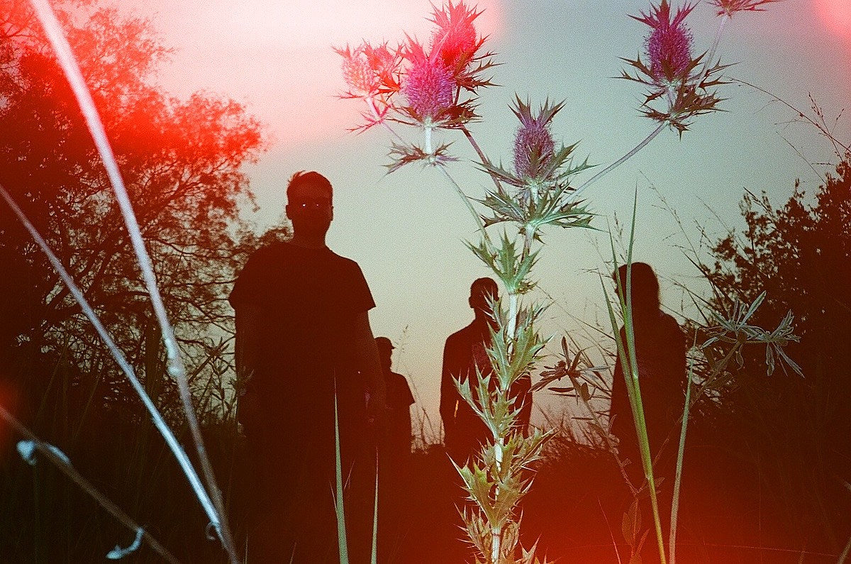 Notable Releases of the Week (11/6)