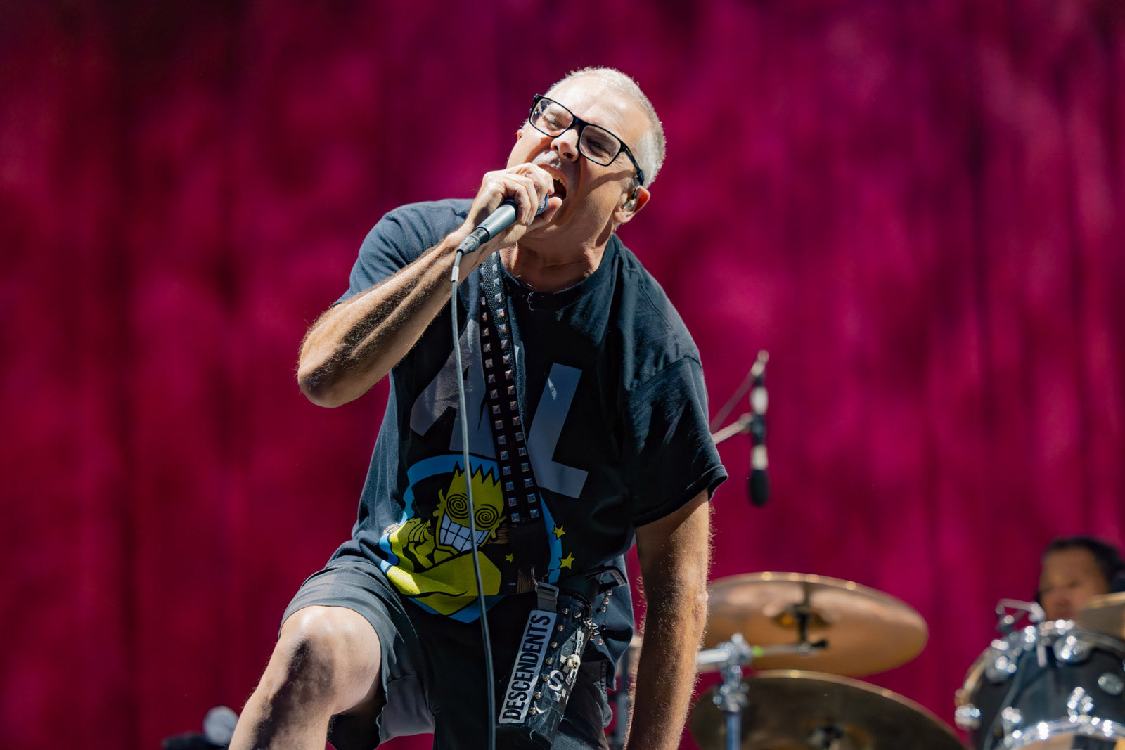 Descendents announce summer tour with Teen Mortgage, Liquid Mike & MattstaGraham