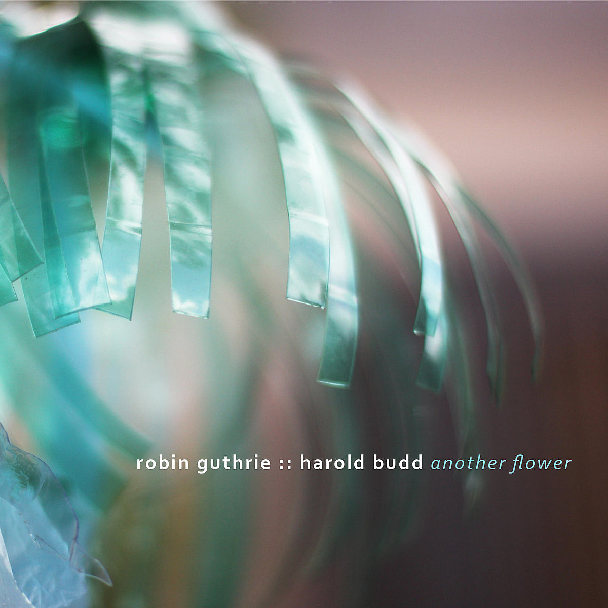listen to new Robin Guthrie & Harold Budd album ‘Another Flower’