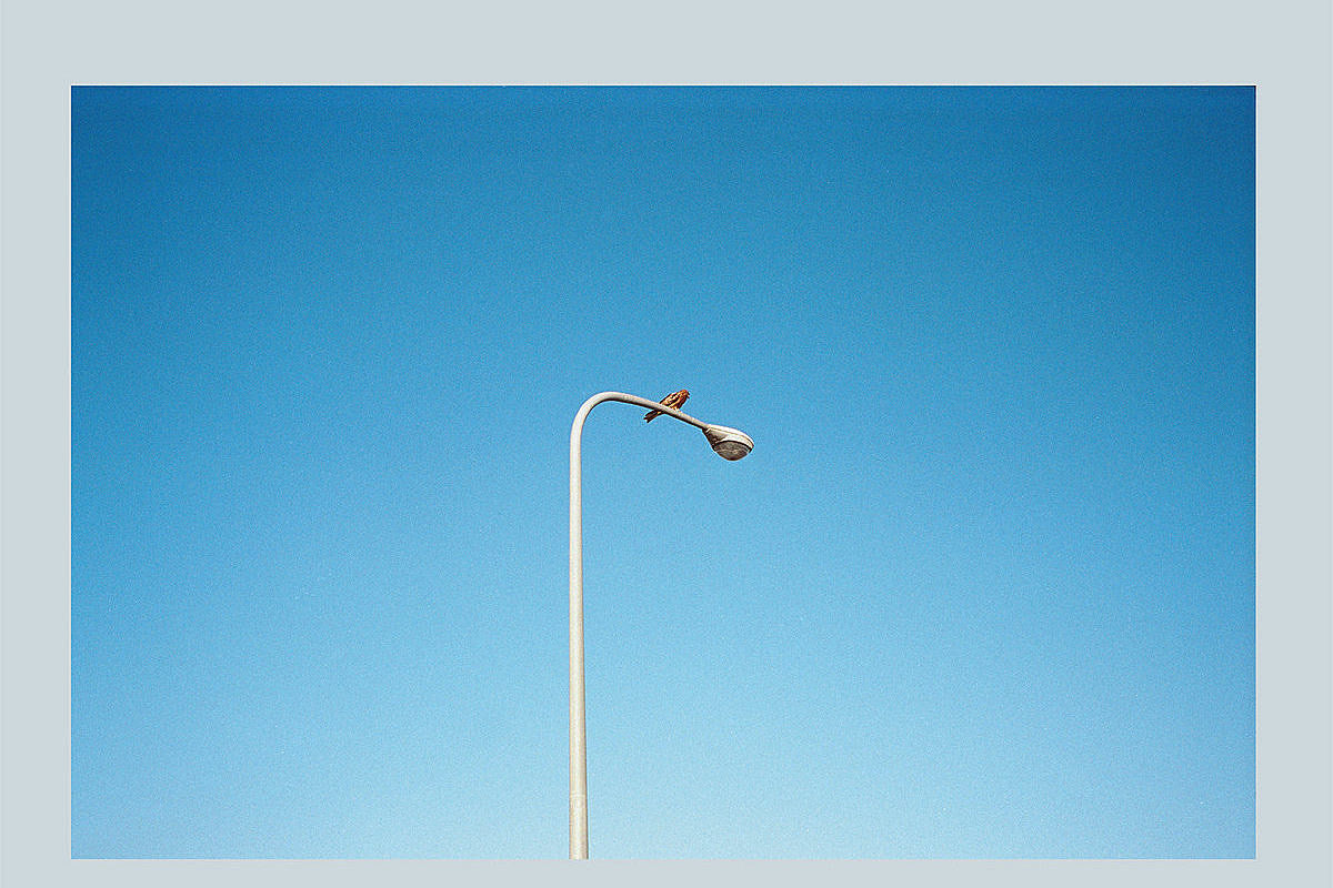 15 New Songs Out Today