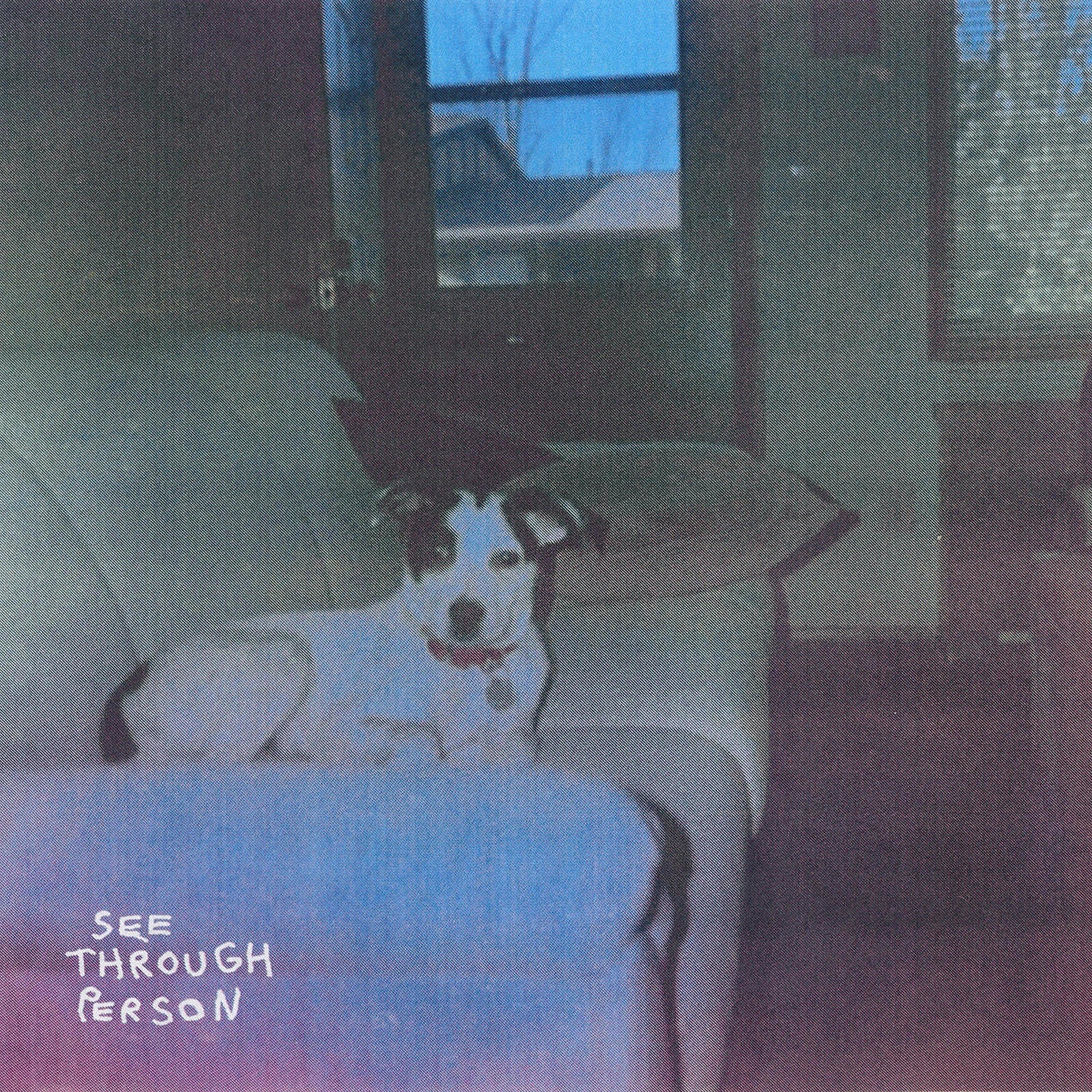 Stream Florida emo band see through person’s raw, scrappy debut EP ‘Chariot’
