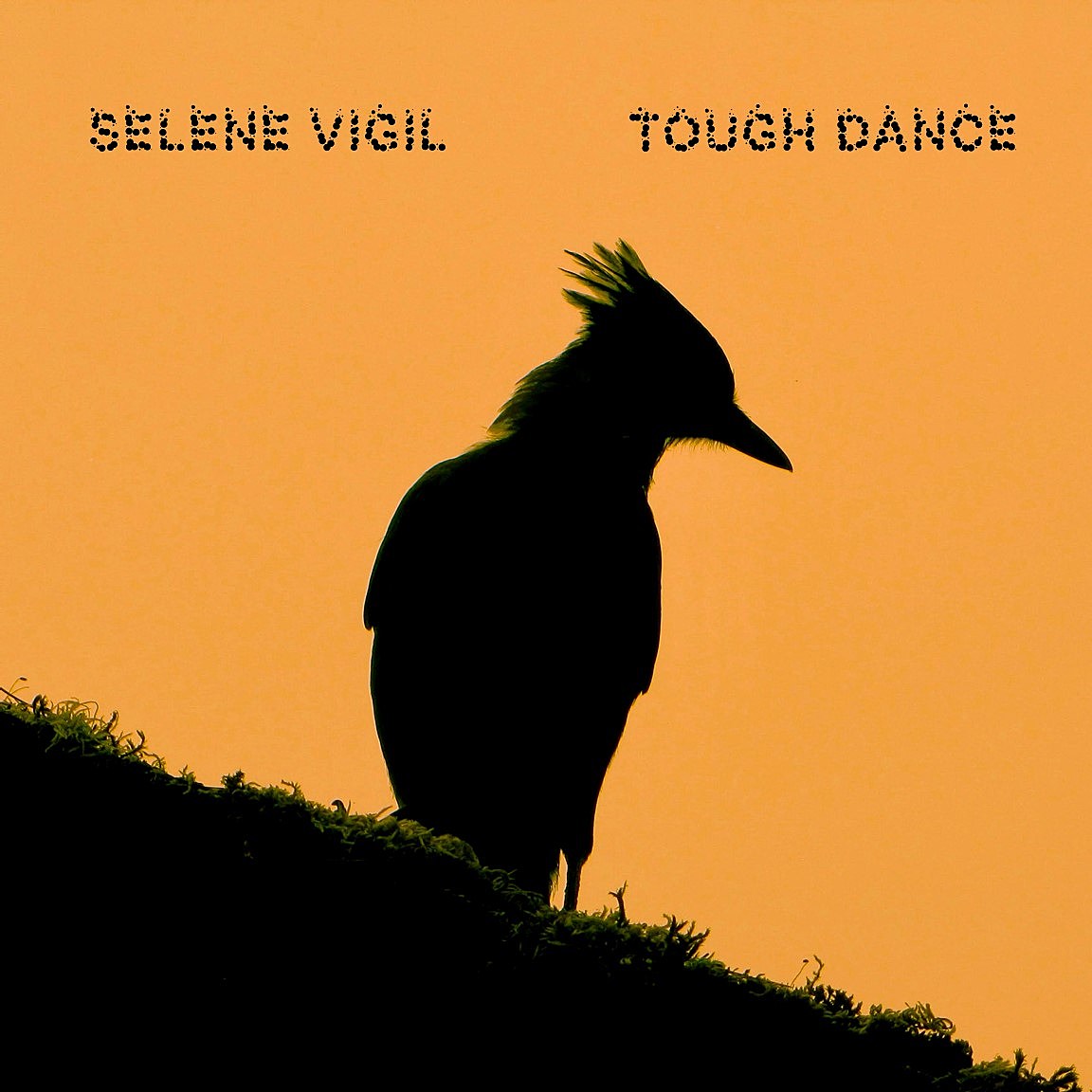 7 Year Bitch’s Selene Vigil releasing new solo LP ‘Tough Dance’ (stream a track)