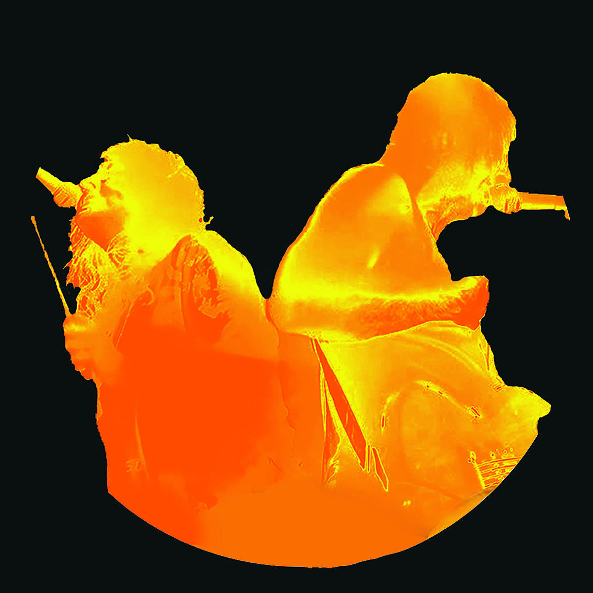 Shellshag releasing split w/ Fleshies, playing shows w/ Iron Chic & more (watch a video for a new song)