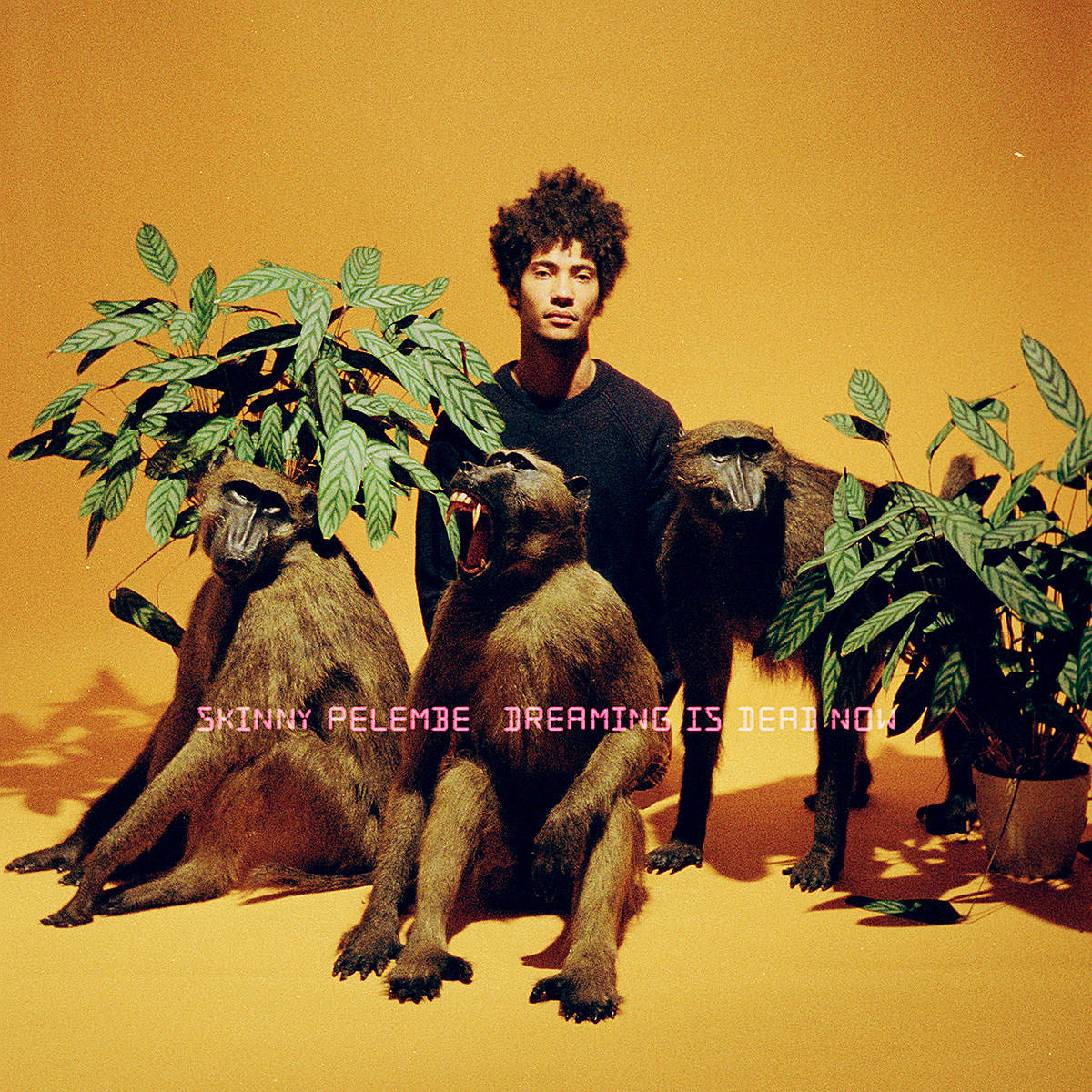 Skinny Pelembe turns psychedelia, jazz, electronic & more into a sound of his own