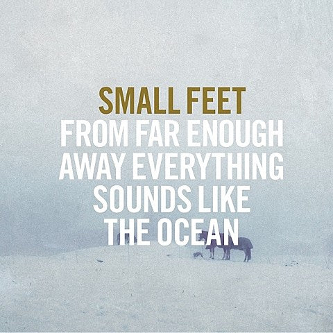 Swedish folk trio Small Feet on Barsuk, opening on tour for Nick Diamonds (dates, video, album stream)