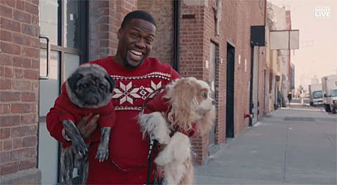 SNL does Bushwick, Brooklyn 2015