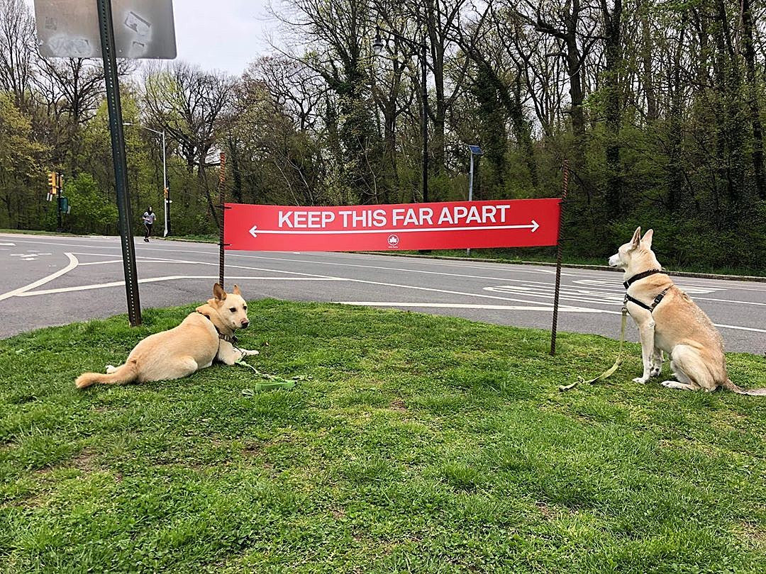 What’s Going On… Is Going On Hold