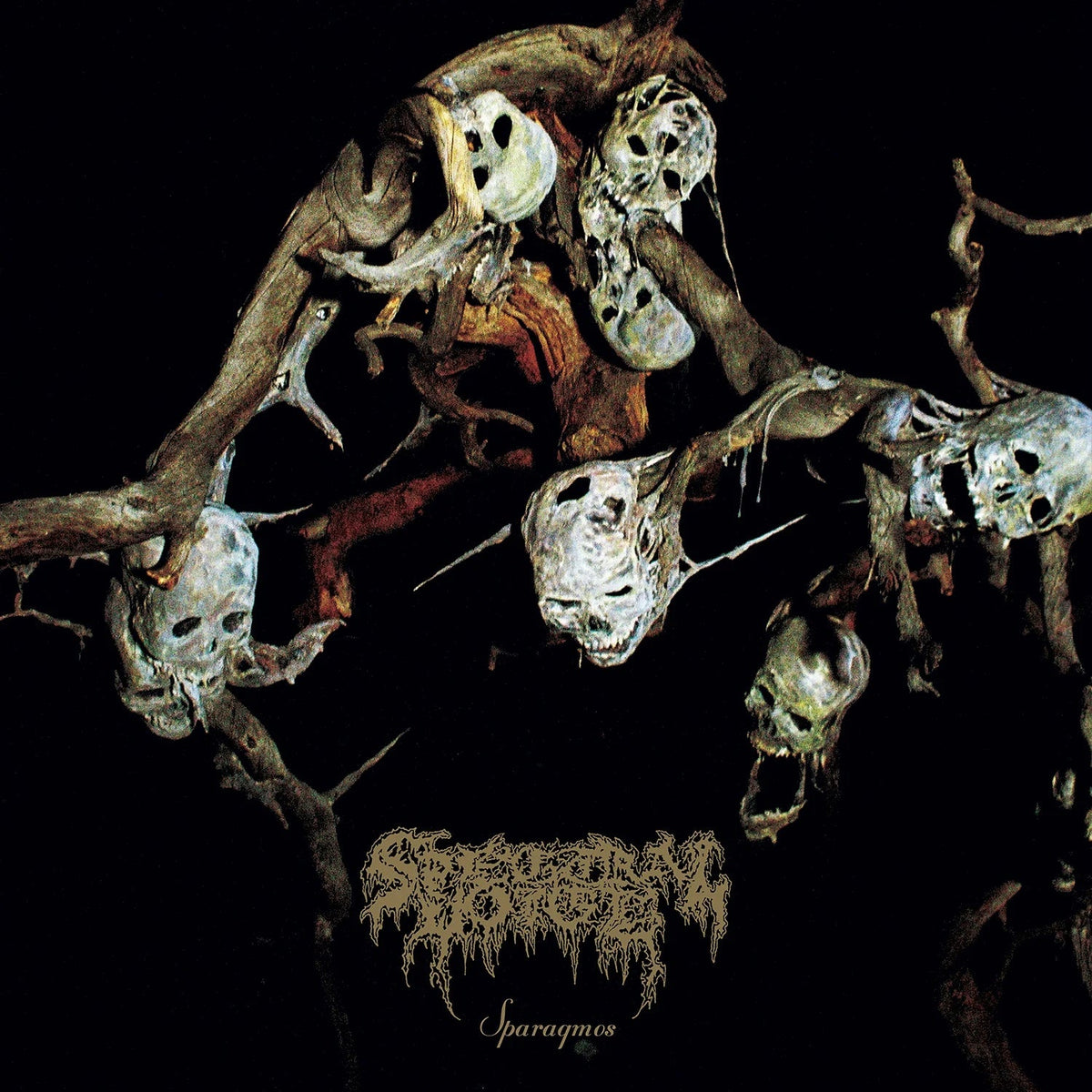 Spectral Voice announce new album ‘Sparagmos,’ share new song