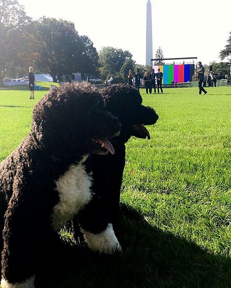 livestream South by South Lawn live from The White House (Sharon Jones canceled)