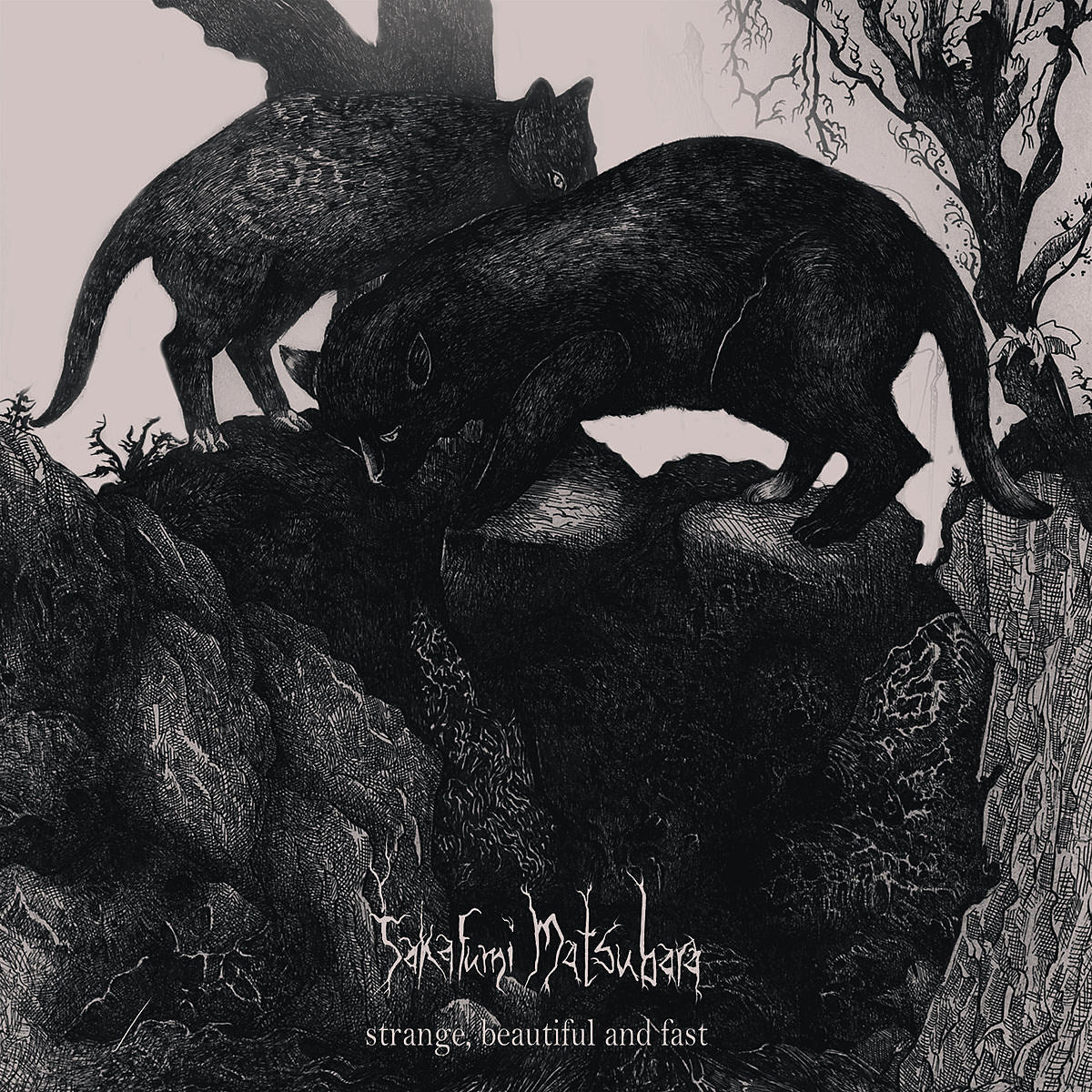 Gridlink’s Takafumi Matsubara preps guest-filled solo LP, shares song ft. Full of Hell’s Dylan Walker