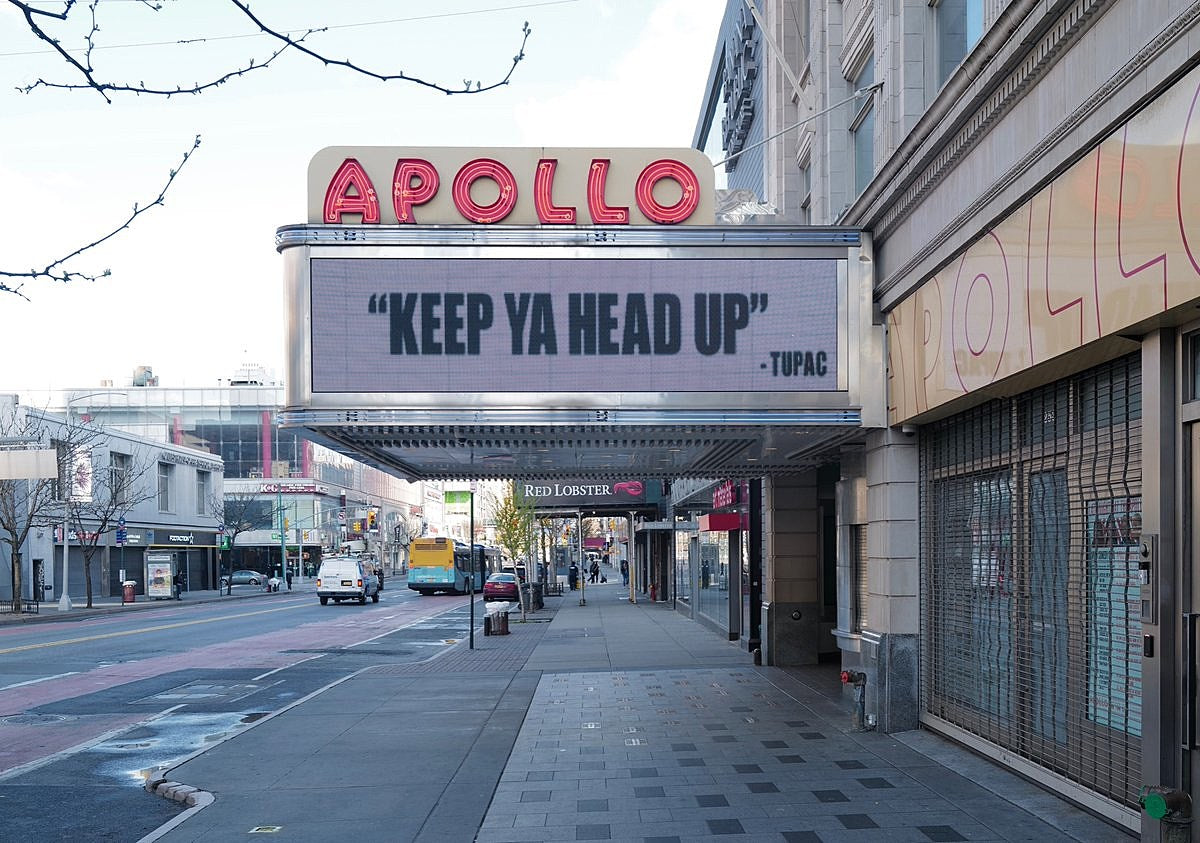 What’s going on Saturday? (Stay home, no shows.)