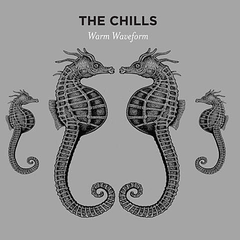 The Chills share “Warm Waveforms” from new LP (listen)
