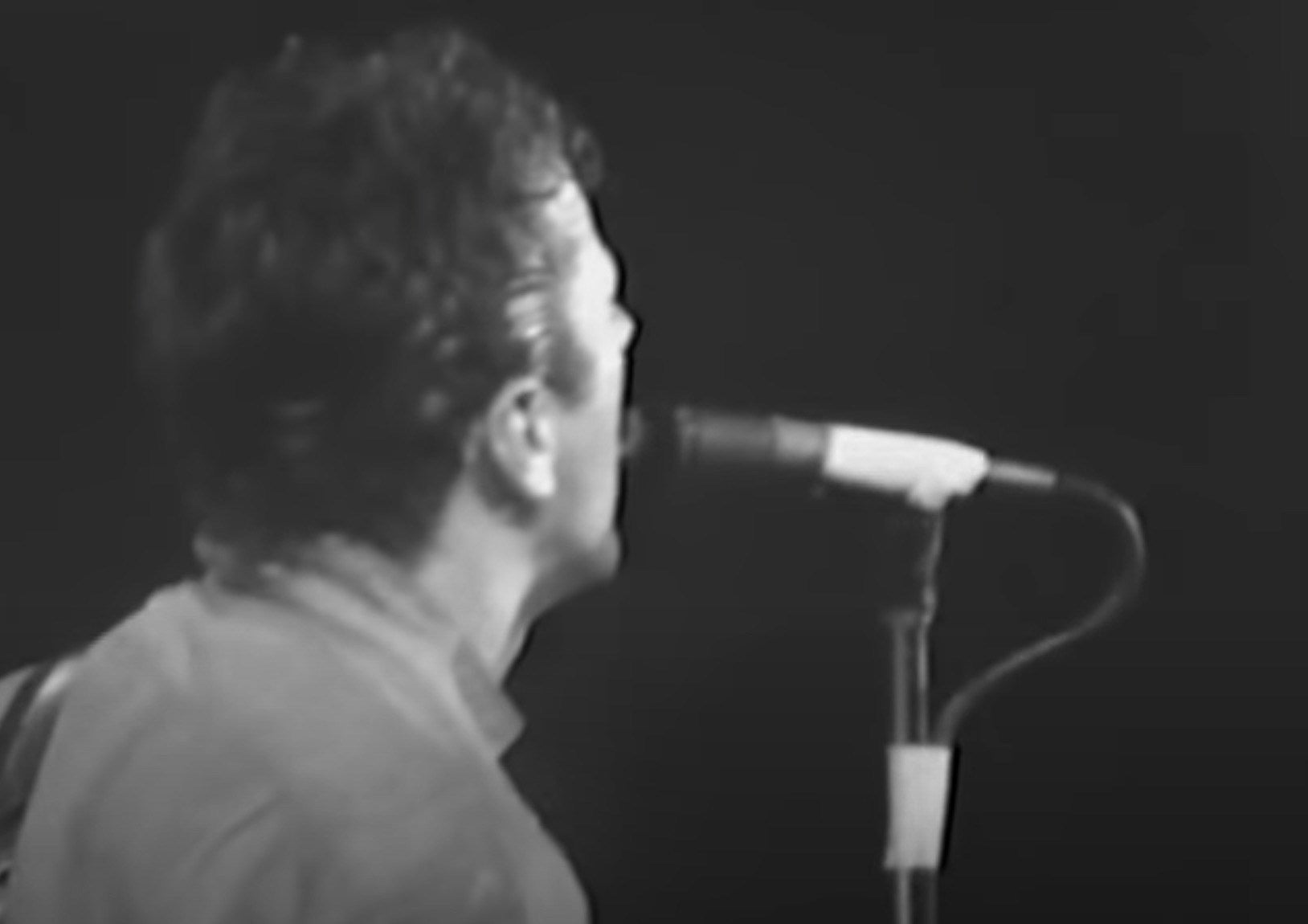 amazing live videos of The Clash, The Hold Steady, Spoon & more to watch while every show is cancelled