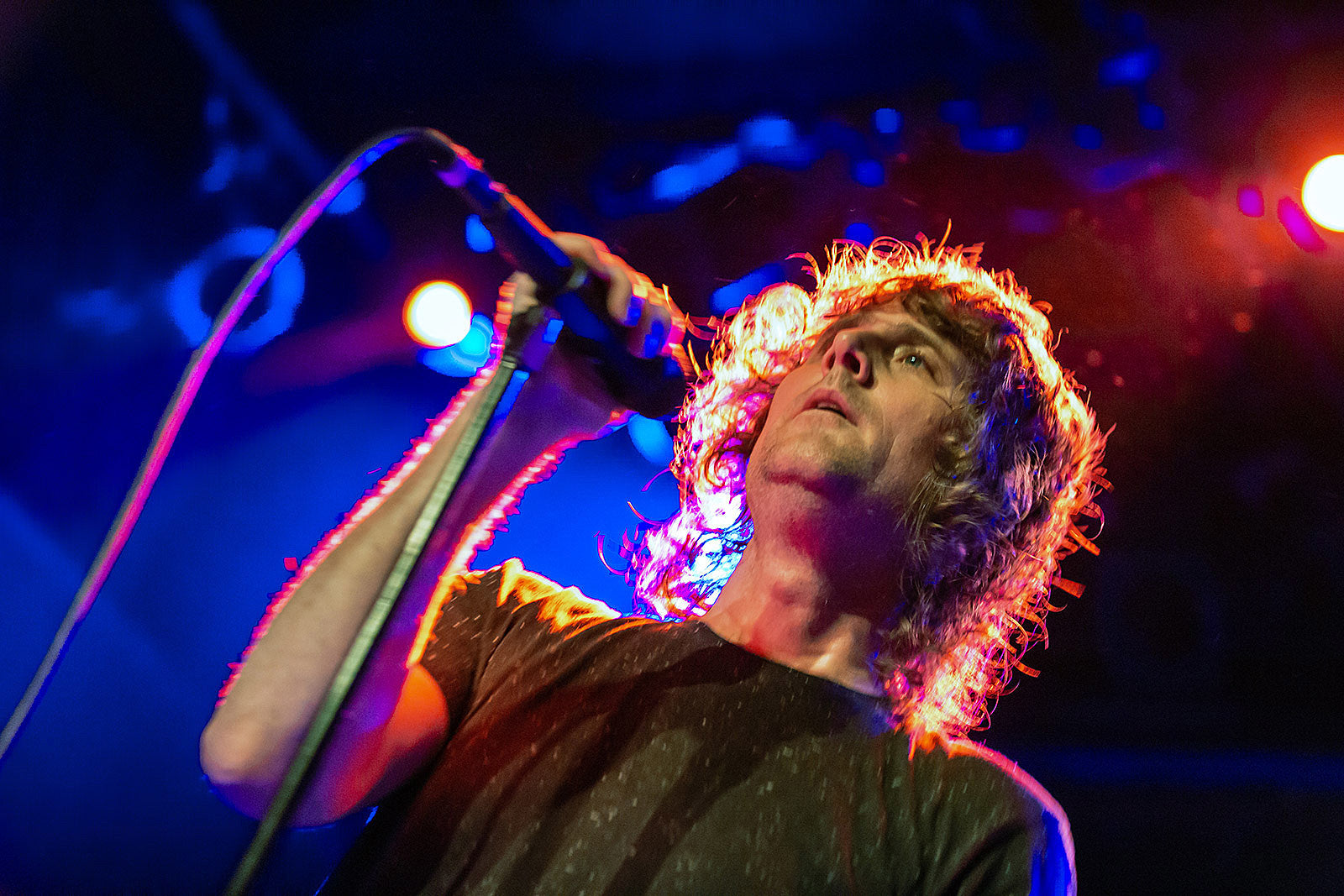 Today’s livestreams (The Rolling Stones, Luke Jenner, Richard Thompson, The Mountain Goats, more)