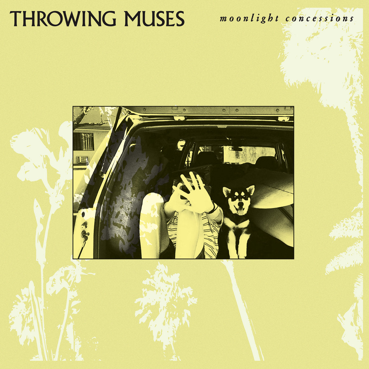 Throwing Muses announce new album, share “Summer of Love”