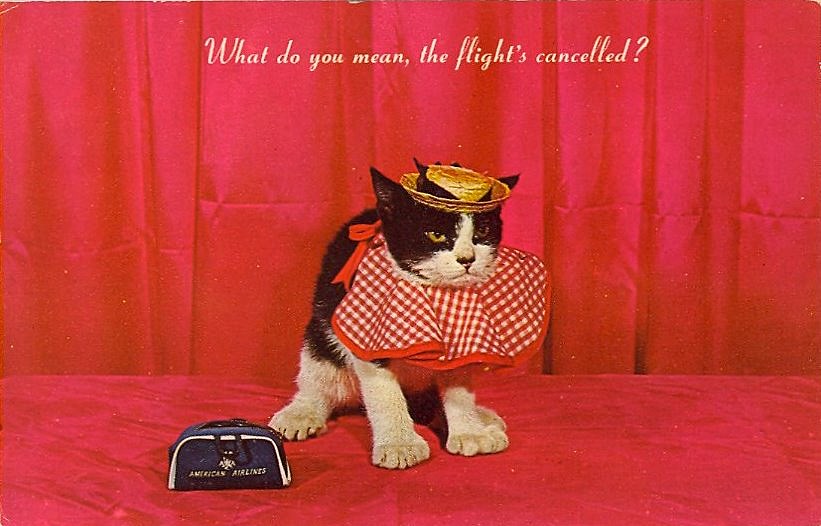 tix on sale: Jeff Lynne’s ELO, Mudcrutch, Dungen, Sarah Silverman, Dandy Warhols & more